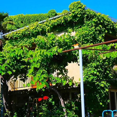 Guest House Green Veranda Mtsʼkhetʼa Exterior foto