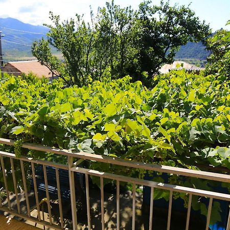 Guest House Green Veranda Mtsʼkhetʼa Exterior foto