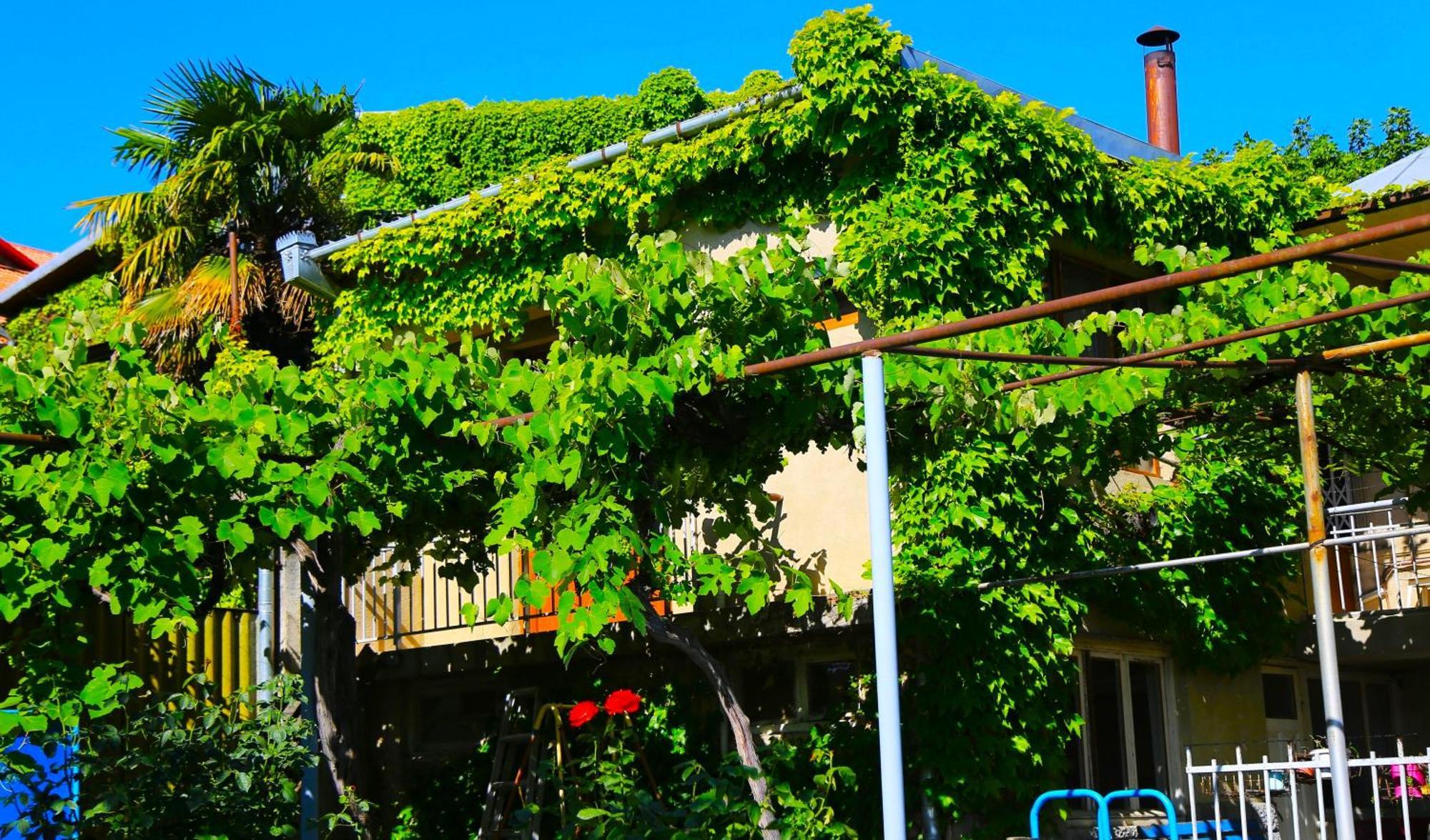 Guest House Green Veranda Mtsʼkhetʼa Exterior foto